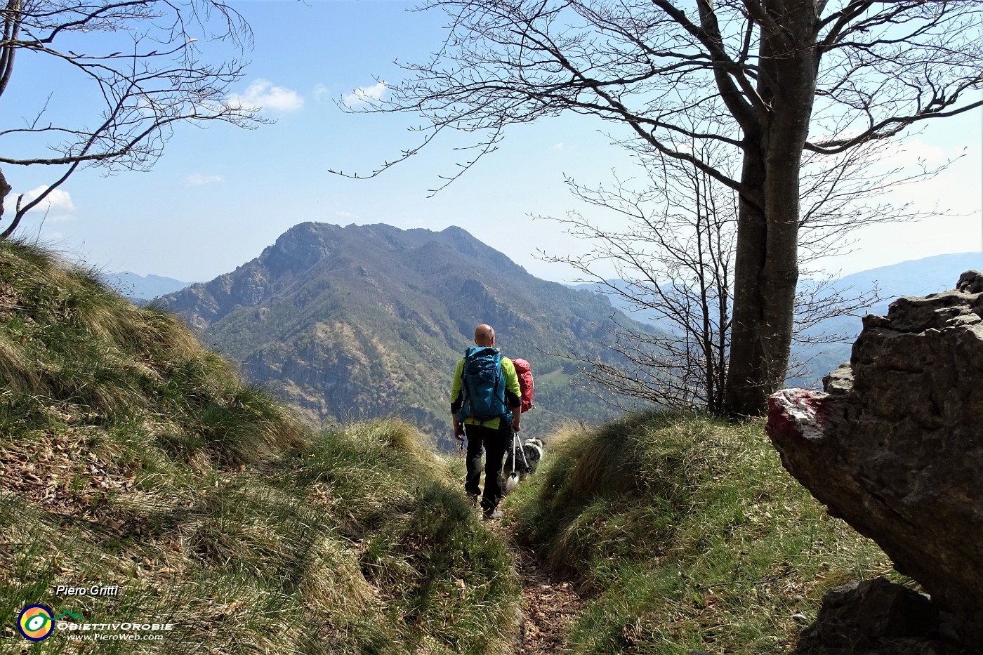 103 Ed ora il bosco si dirada e il panorama si apre un po'... .JPG
